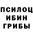Галлюциногенные грибы Cubensis Sielle