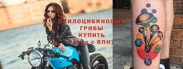 СК Инсар