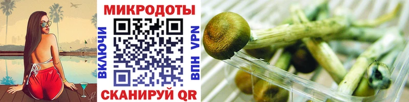 сайты даркнета какой сайт  Лесной  Галлюциногенные грибы ЛСД  как найти наркотики 